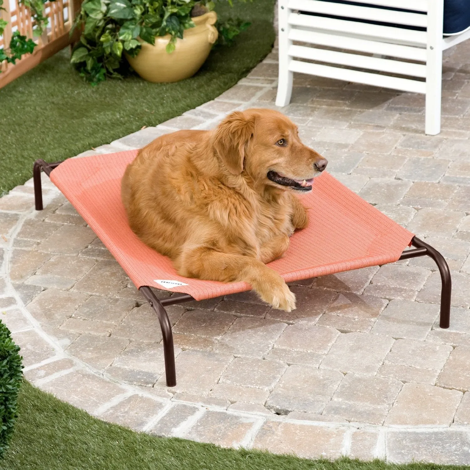 15% OFF: Coolaroo Elevated Knitted Fabric Pet Bed - Terracotta
