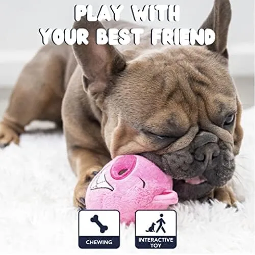3in1 Dog Toys for Aggressive Chewers - Pig