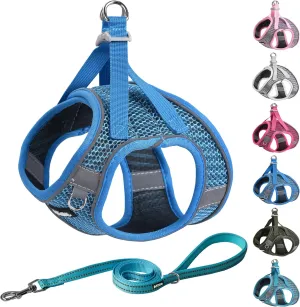 AIITLE Extra Small Dog Harness - Step in Vest Harness with A Leash, Reflective Bands, Soft Breathable Pet Supplies, Outdoor Pet Vest for Extra Small Dogs and House Cats Royal Blue XXXS