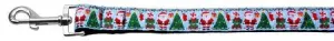 Aqua Santa Nylon Ribbon Collars 1 wide 6ft Leash
