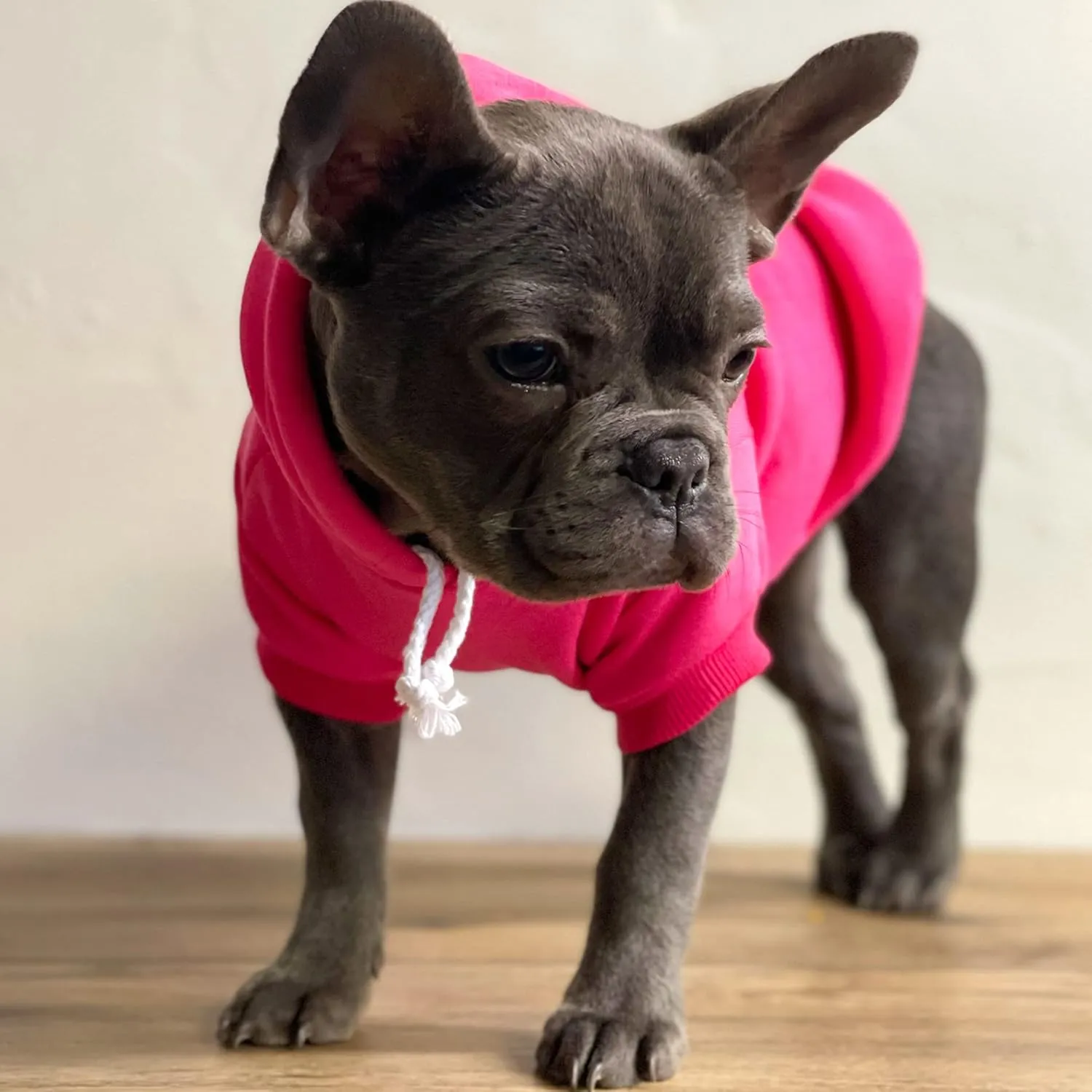 Big Brother (B&W) Dog Hoodie Fleece Lined Pullover Sweatshirt with Leash Hole (Royal Blue, X-Large 894)