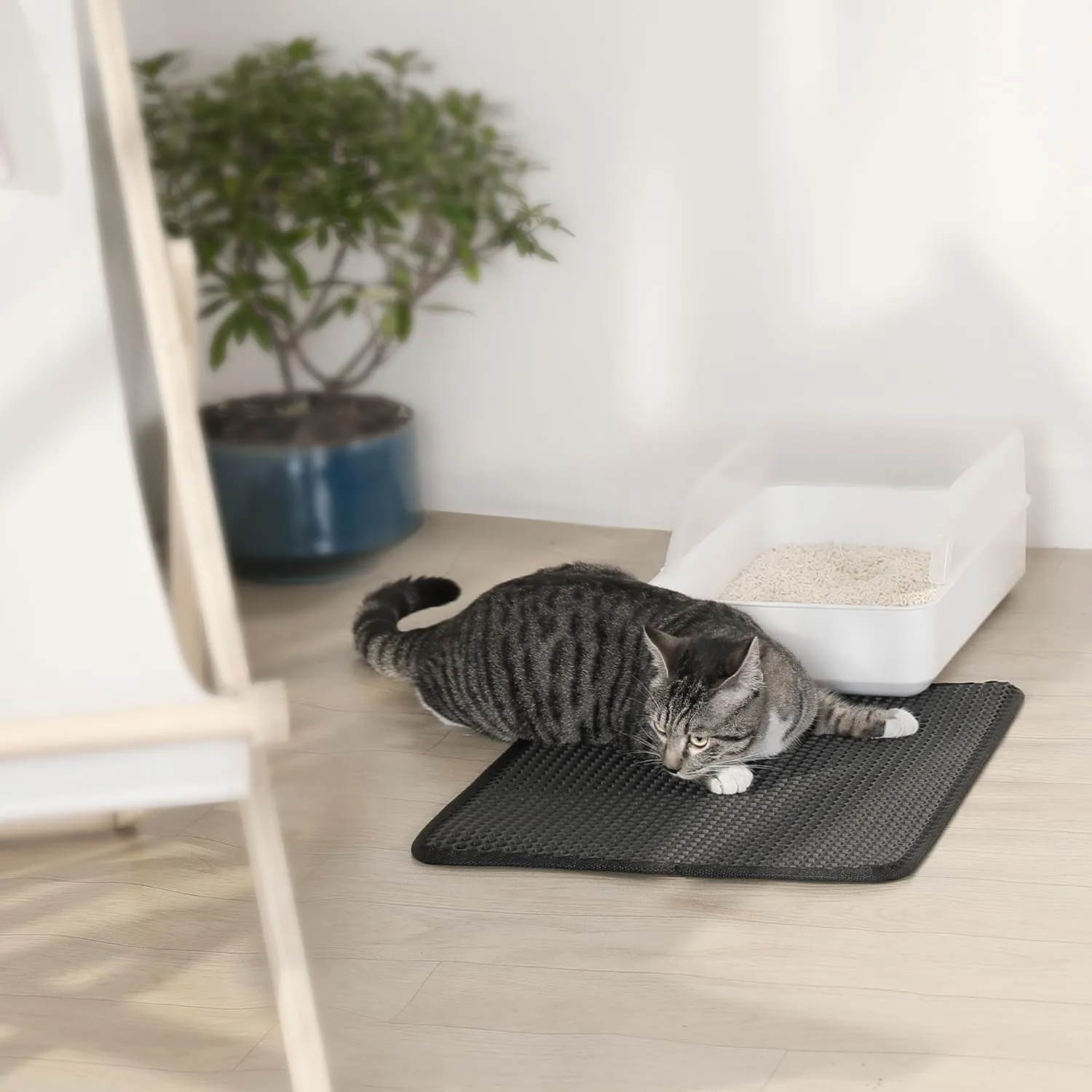 Cat Litter Mat 23"x17", Honeycomb Double Layer Waterproof Urine Proof Trapping Waste for Kitty Litter Box, Washable, No Slip Cat Matt for Floor, Black