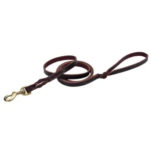 Circle T® Latigo Leather Twist Dog Leash with Solid Brass Hardware