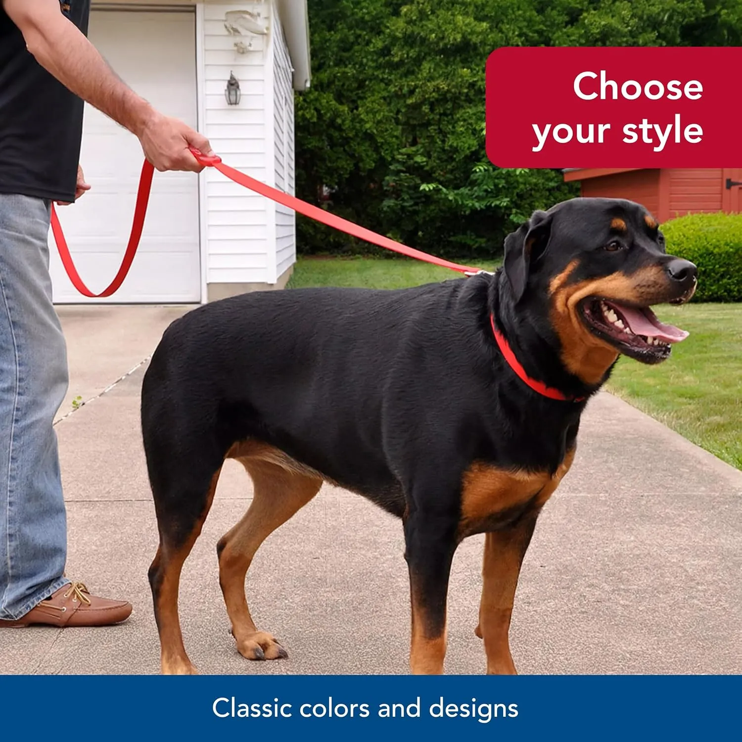 Coastal Pet Insta-Grip Control Handle Dog Leash - Adjustable Traffic Dog Leash for Training - Stylish Nylon Pet Supplies - Blue, 1" x 6'