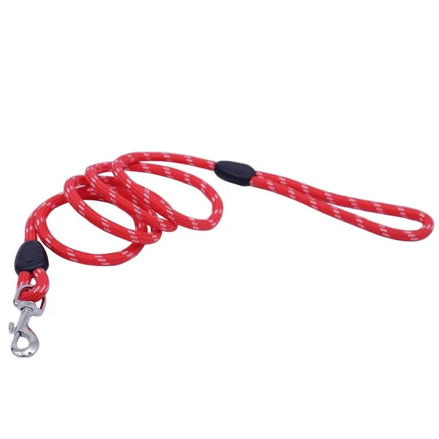 Dog Collars & Leads Training Walk Pet