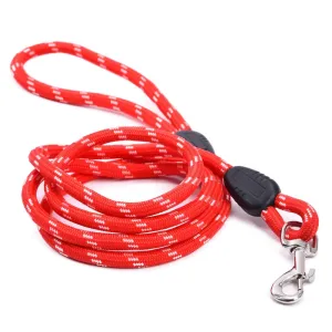Dog Collars & Leads Training Walk Pet