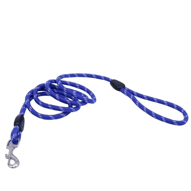 Dog Collars & Leads Training Walk Pet
