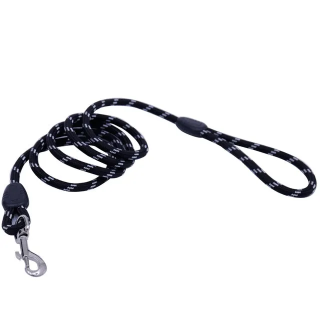 Dog Collars & Leads Training Walk Pet