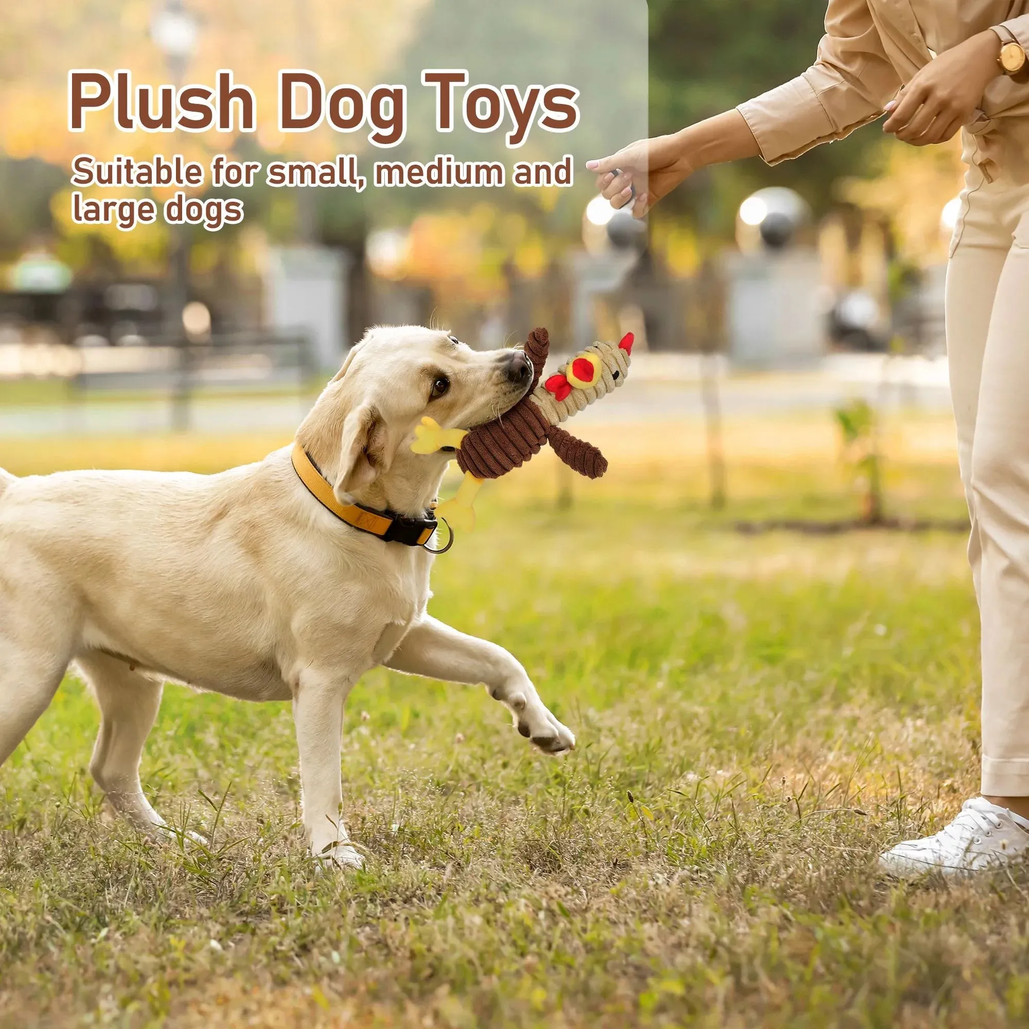 Dog Toys, Plush Dog Squeaky Toys, 5 Pack Stuffed Cute Dog Gift Toys for Large Dogs, Puppy