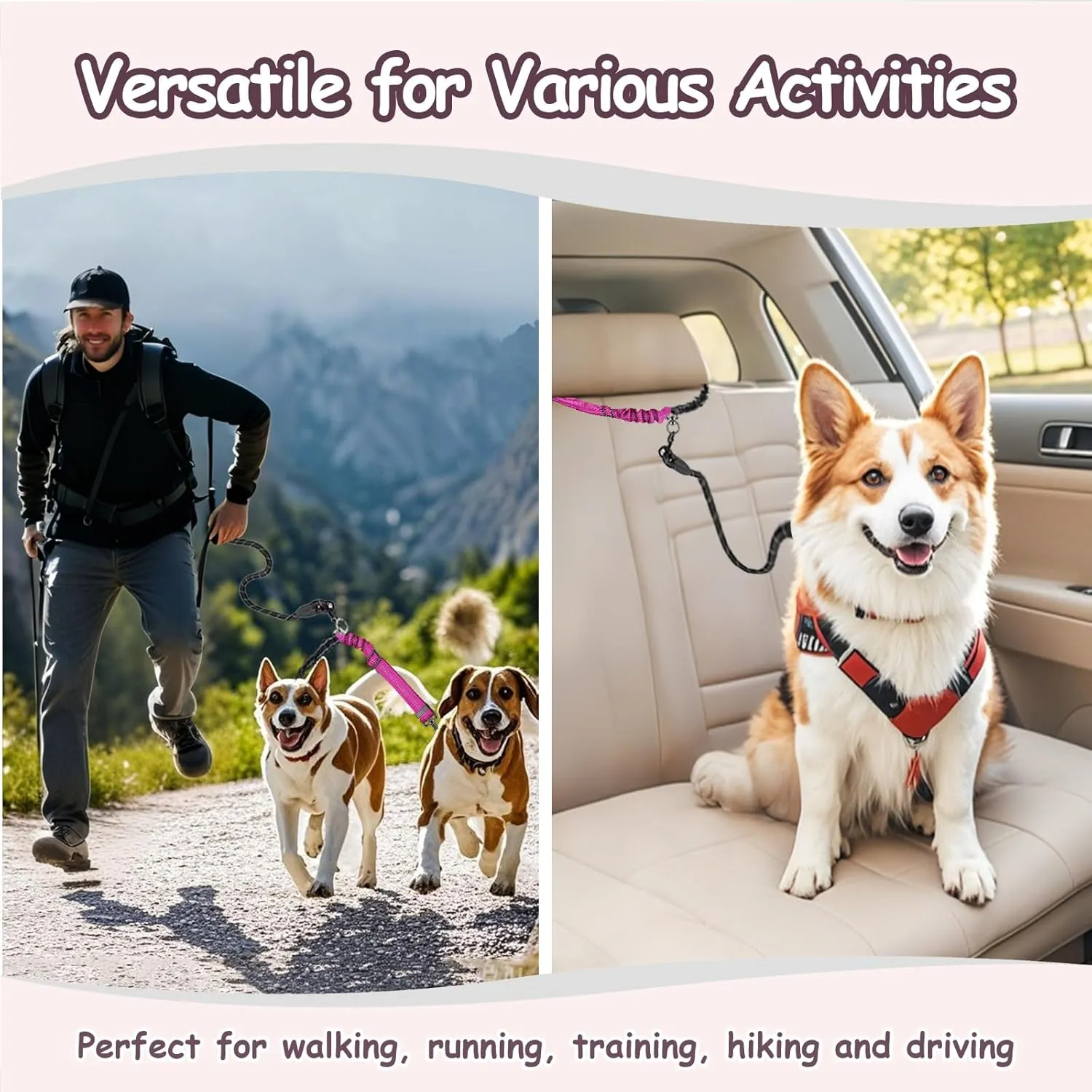 Double Dog Leash - 360Swivel Tangle Free Splitter Attachment, 2 Dogs Multi-Functional Leashes, Dual Rope for Outdoor Walk Train Small Medium Large Two Pet, Fuchsia