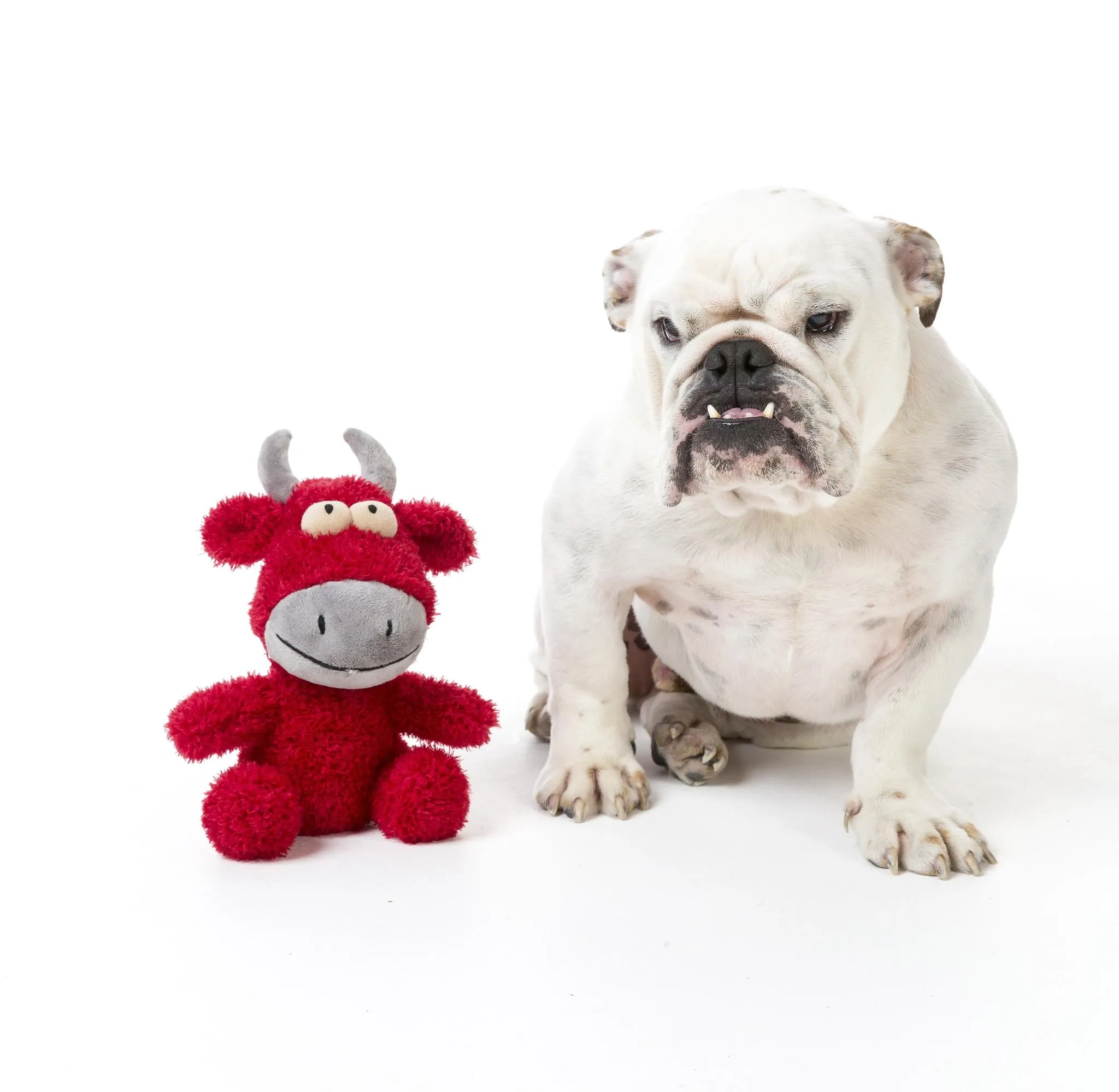 FuzzYard Jordan The Bull Dog Dog Toy