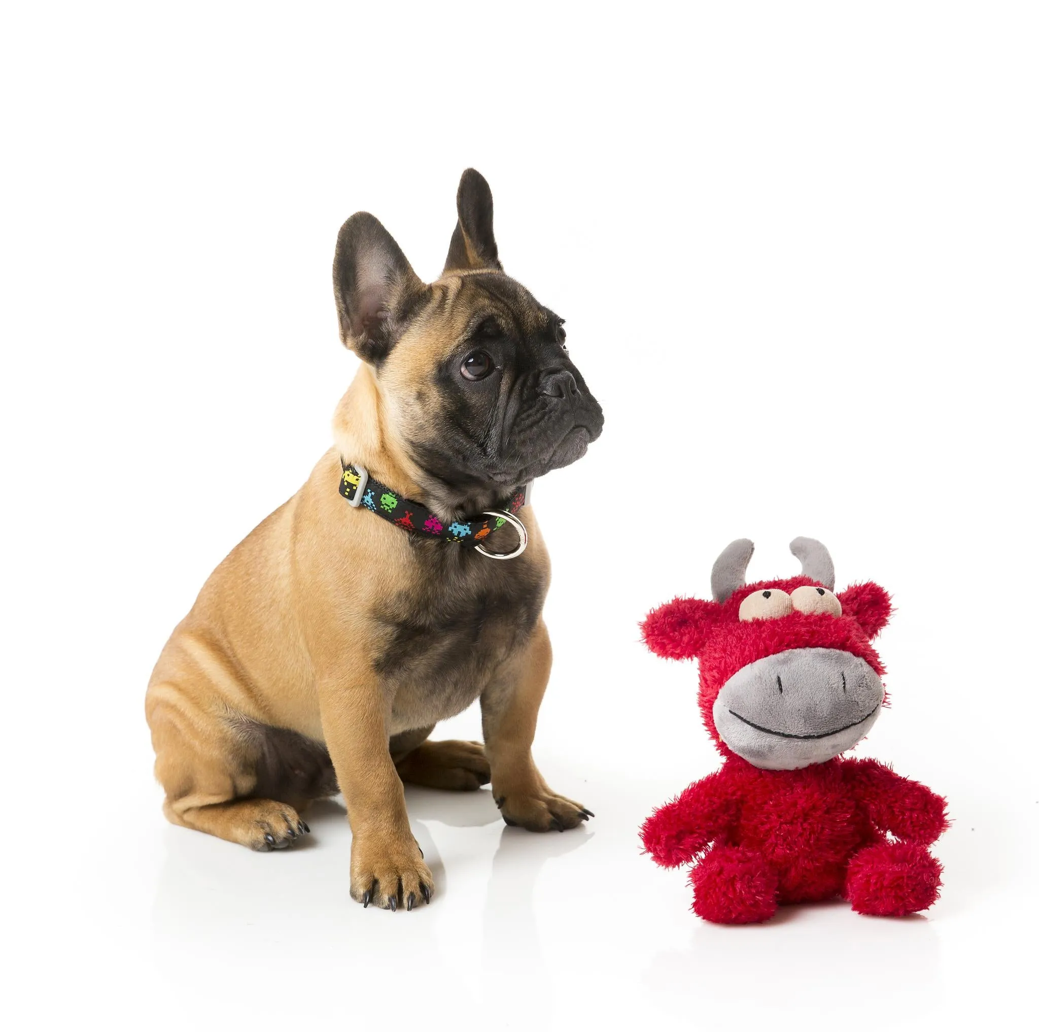 FuzzYard Jordan The Bull Dog Dog Toy