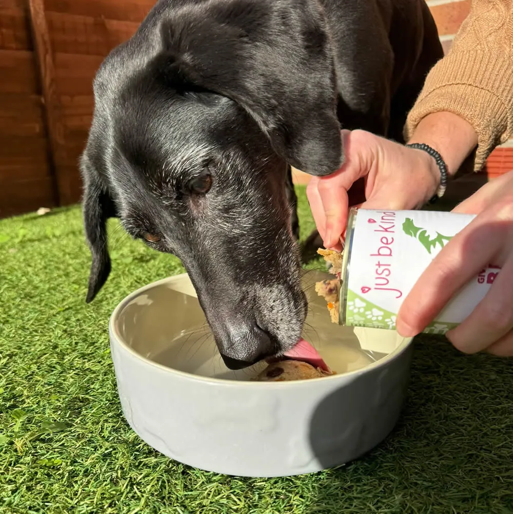 Give a Dog a Bean - 24 tins