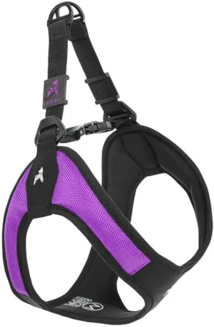Gooby Escape Free Easy Fit Harness - Purple, Large - No Pull Step-in Patented Small Dog Harness with Quick Release Buckle - Perfect On The Go No Pull Harness for Small Dogs or Medium Dog Harness