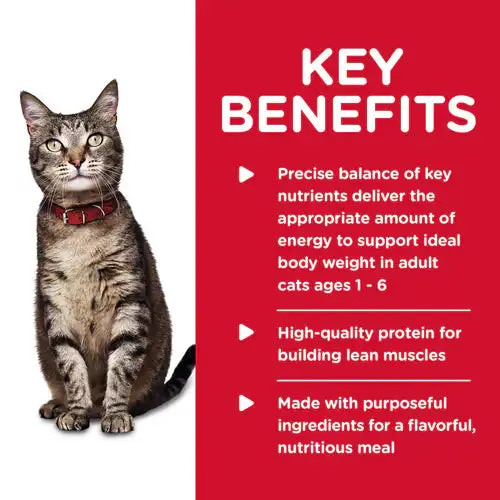 Hill's Science Diet Adult Savory Chicken Entrée Canned Cat Food (5.5 oz x 24 cans)