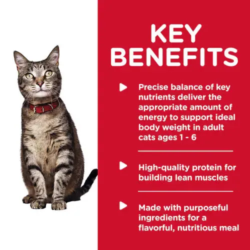 Hill's Science Diet Adult Savory Turkey Entrée Canned Cat Food (5.5 oz x 24 cans)