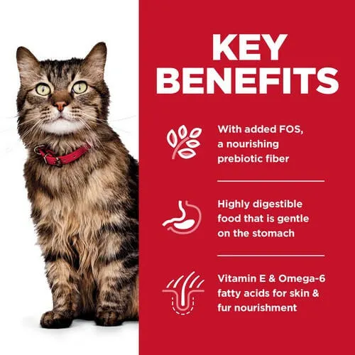 Hill's Science Diet Adult Sensitive Stomach & Sensitive Skin Chicken & Rice Recipe Dry Cat Food