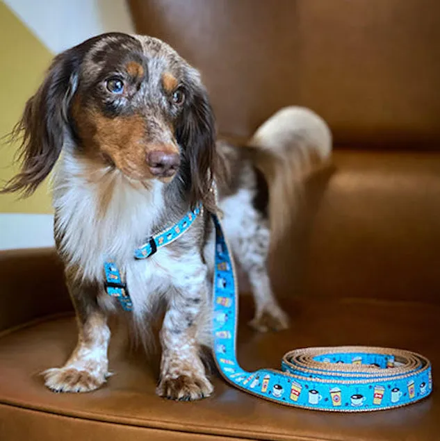 Leash | Coffee Nut