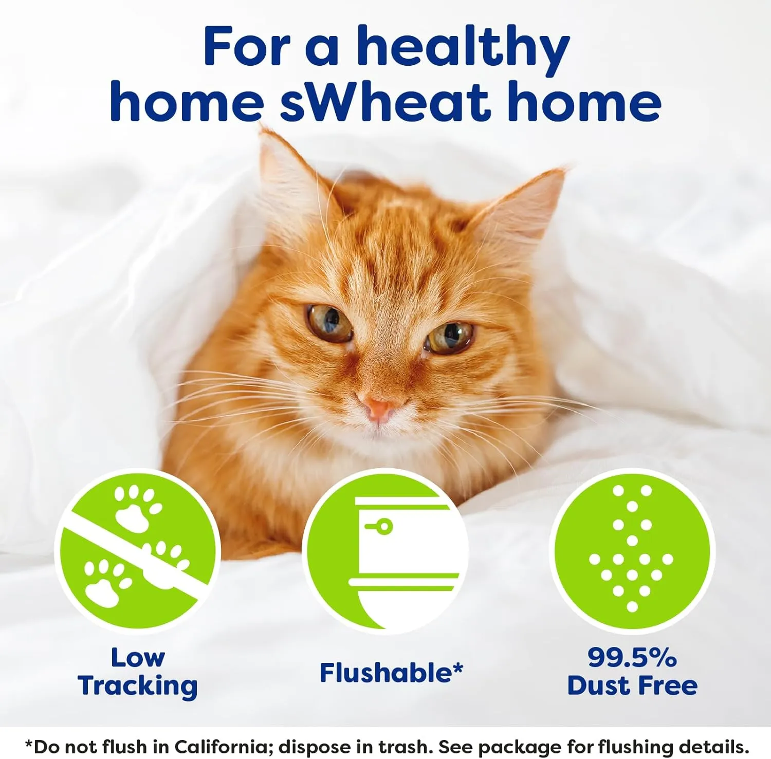 Natural Wheat Multi-Cat Litter, Superior Clumping with Odor Neutralizing Enzymes, 25 Pound Bag