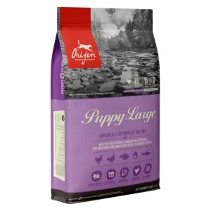 Orijen Large Breed Puppy Food