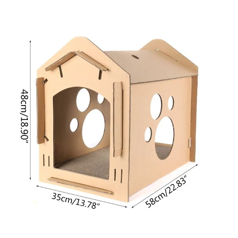 Paper Carton Box Cat
