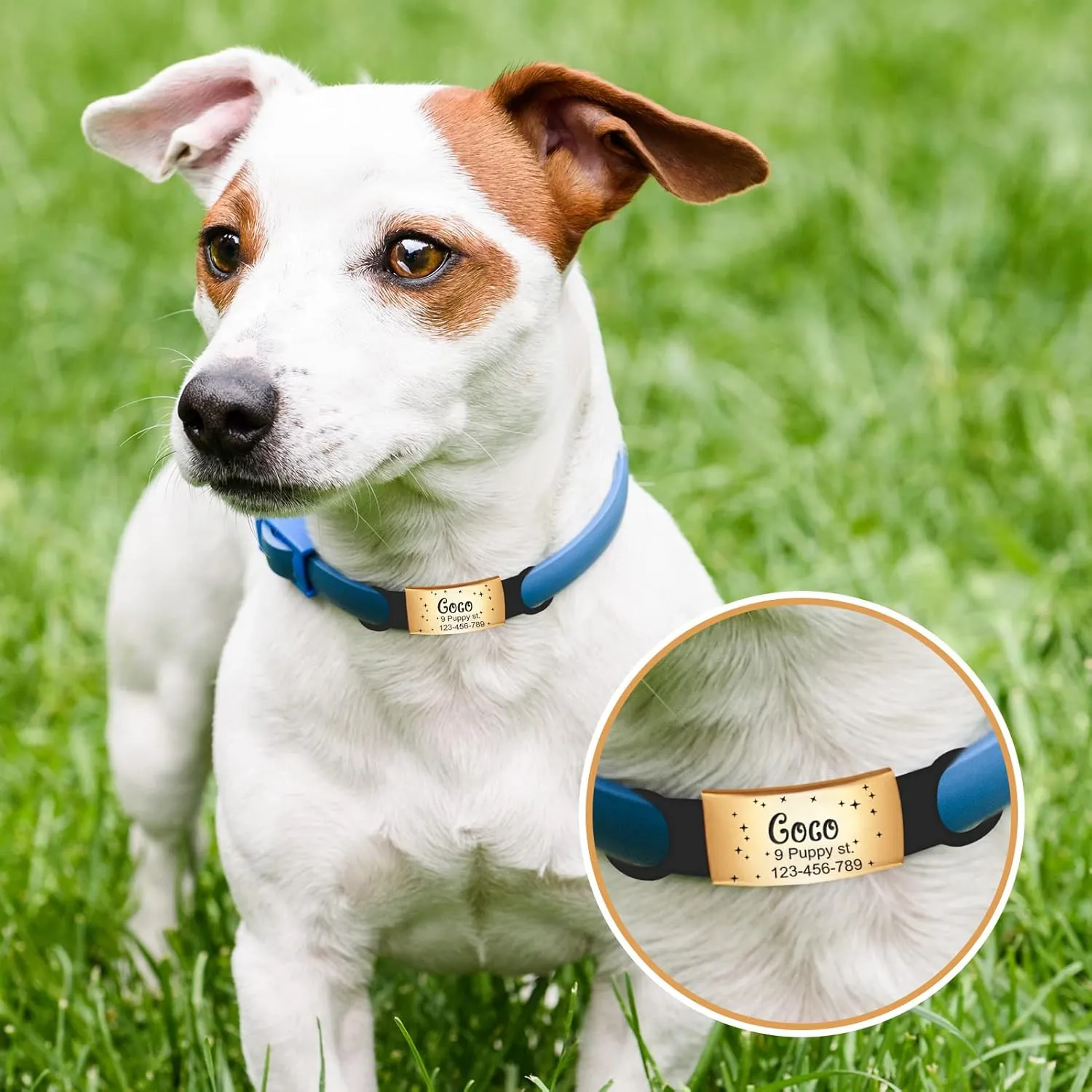Personalized Dog Tags, Slide On Pet ID Tag, Engraved Stainless Steel Cat Collar Tag, No Jingle Dog Name Tag Silent Pet Identification Tags(Small Gold)