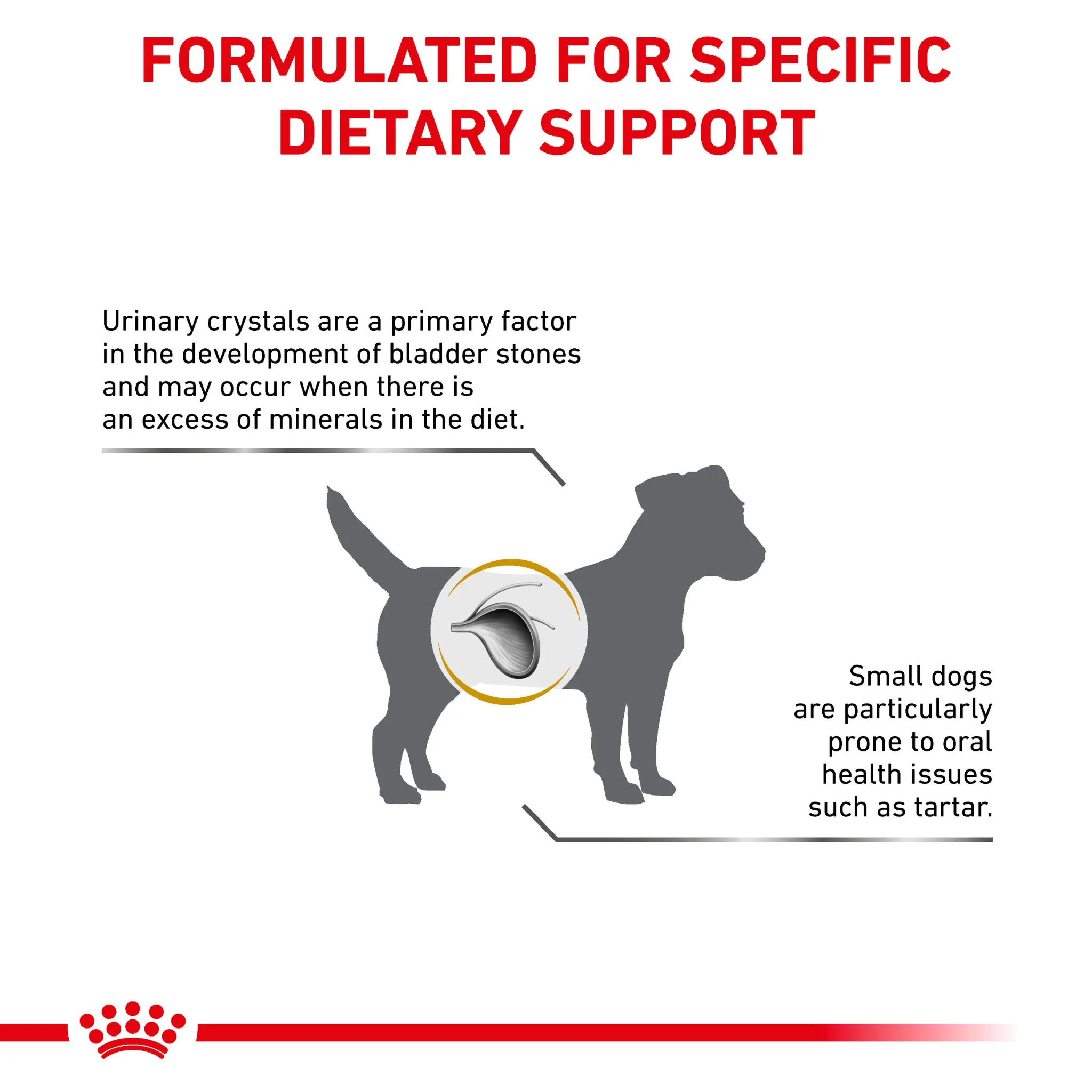 ROYAL CANIN® Canine Urinary S/O Small Dog Adult Dry Food