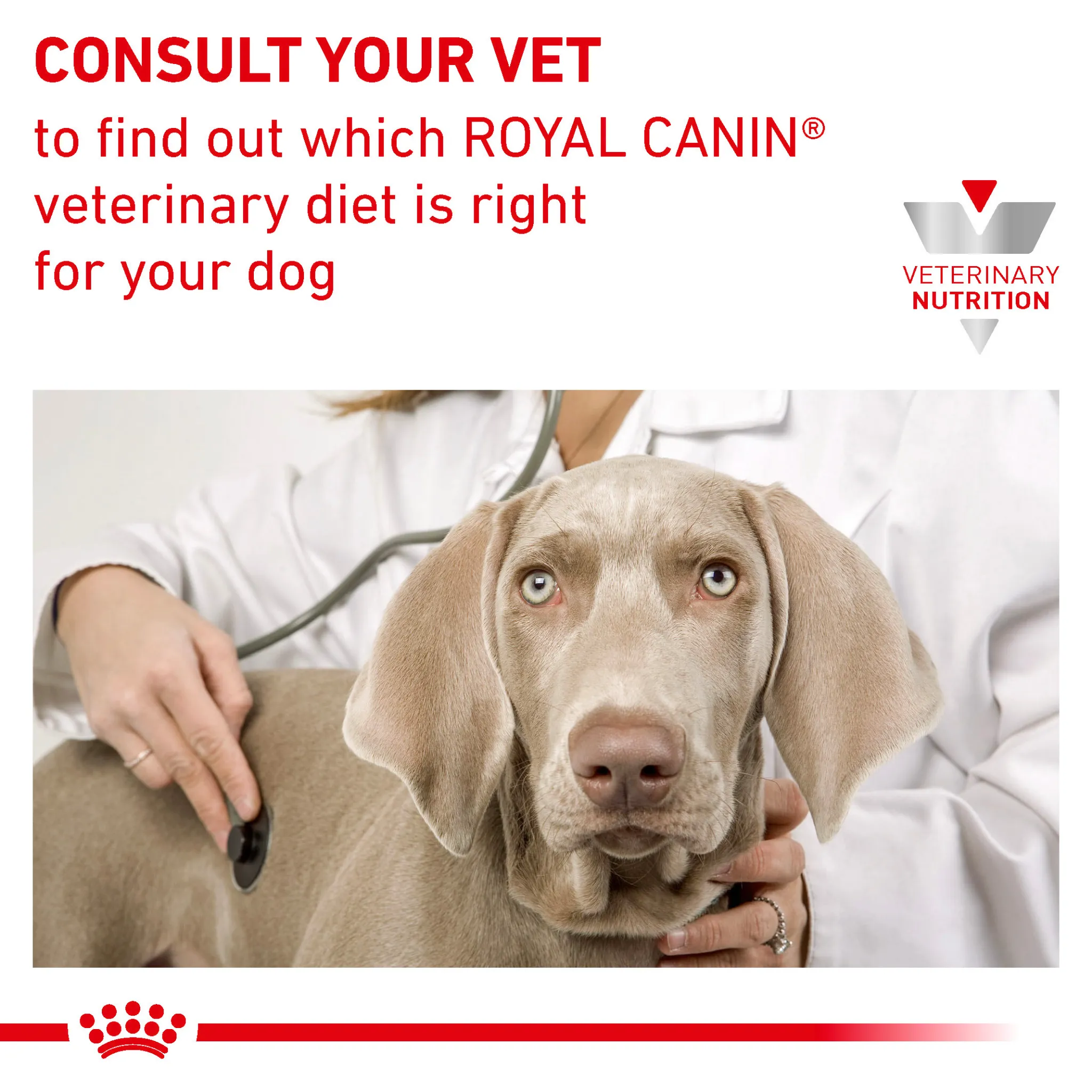 ROYAL CANIN® Canine Urinary S/O Small Dog Adult Dry Food