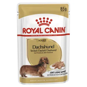 Royal Canin Dog Dachshund Adult Wet Food Pouch 85g^^^