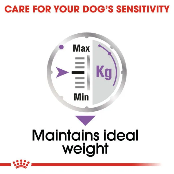 Royal Canin | Size Health Nutrition Wet Dog Food | Sterilised Adult - 85g