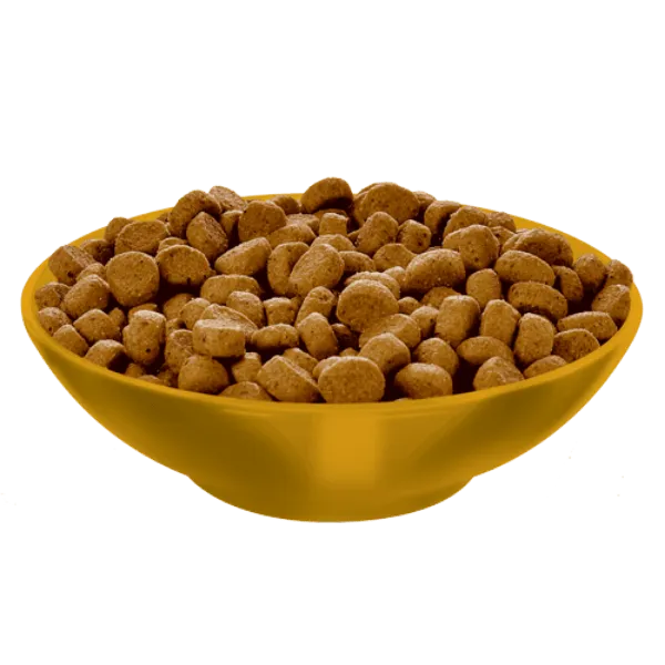 Science Diet Adult Perfect Weight Chicken Recipe Dry Cat Food