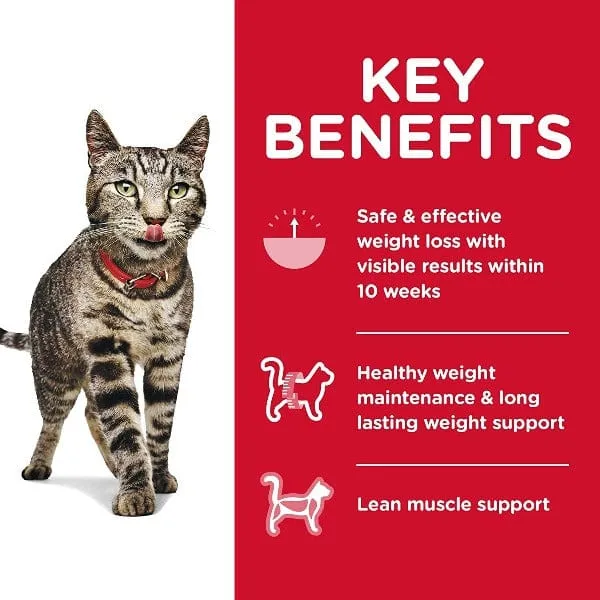Science Diet Adult Perfect Weight Chicken Recipe Dry Cat Food