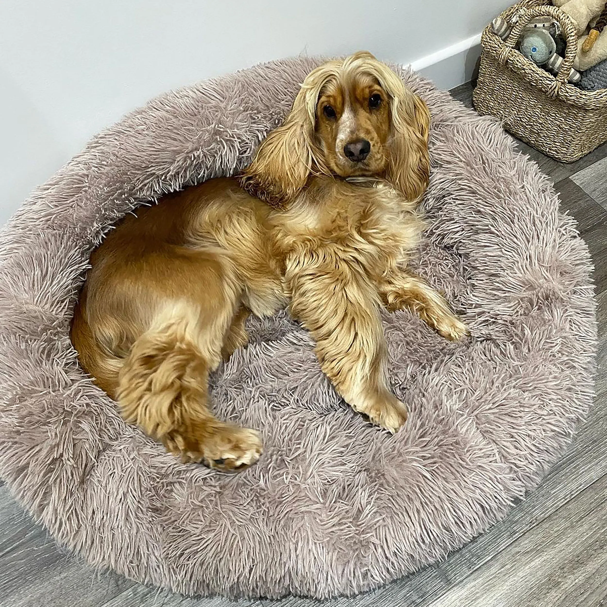 Soft Calming Donut Bed - Premium Quality For Dogs & Cats