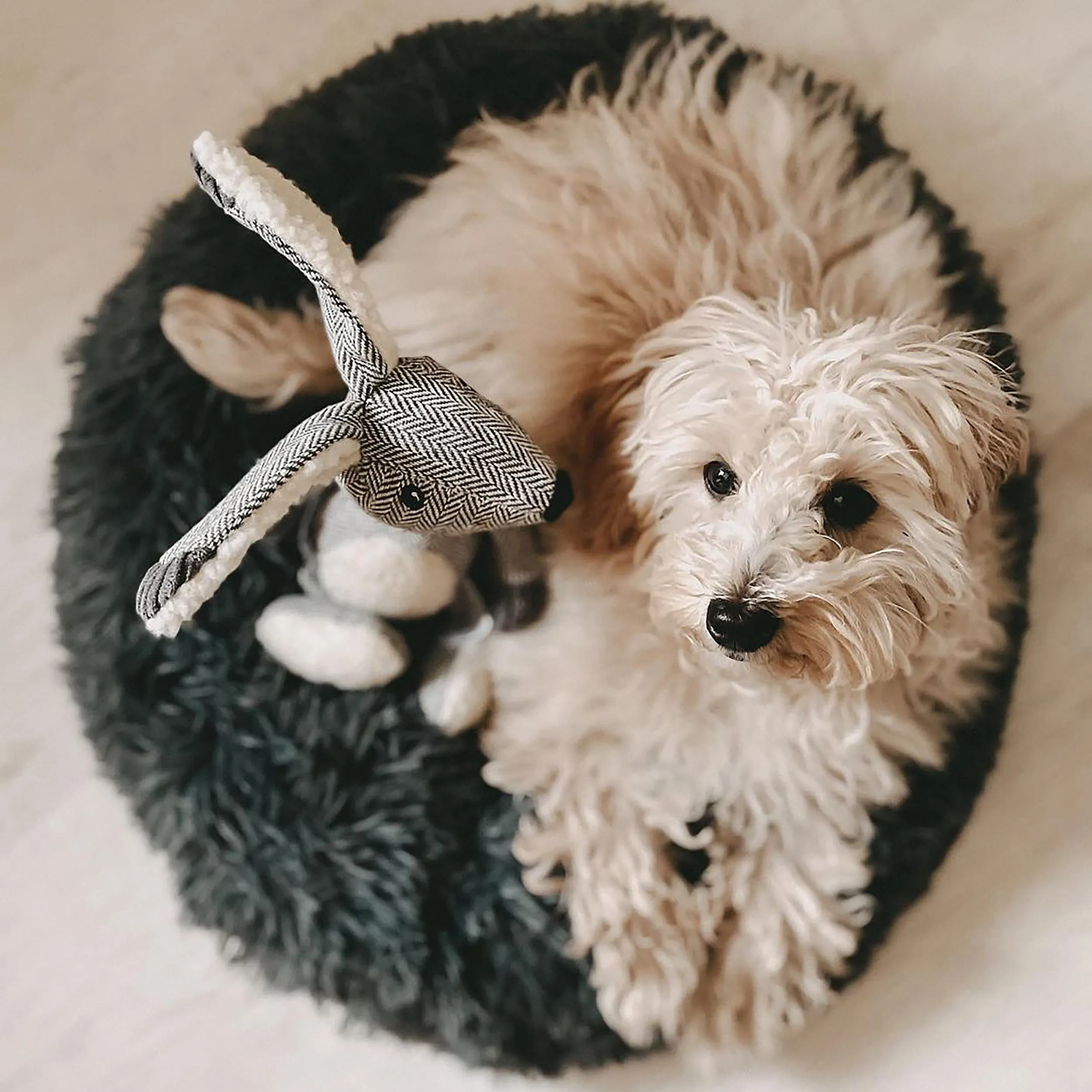 Soft Calming Donut Bed - Premium Quality For Dogs & Cats