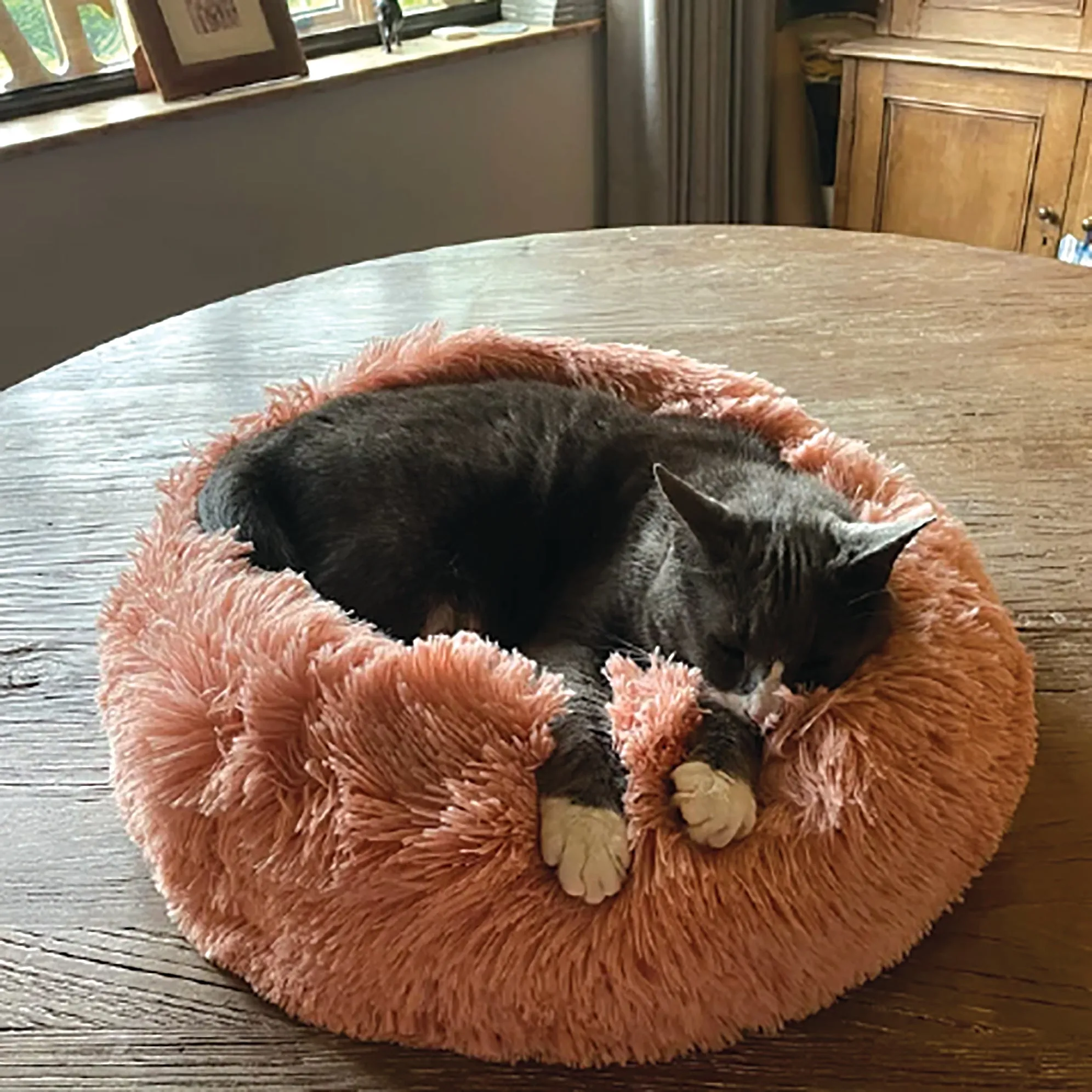 Soft Calming Donut Bed - Premium Quality For Dogs & Cats