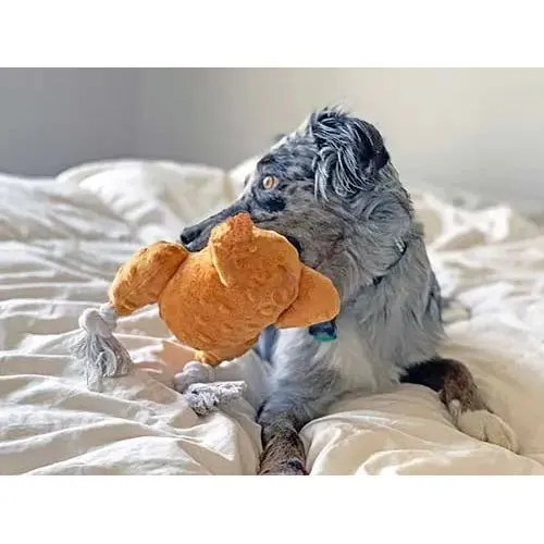Steel Dog Turkey Plush Dog Toys