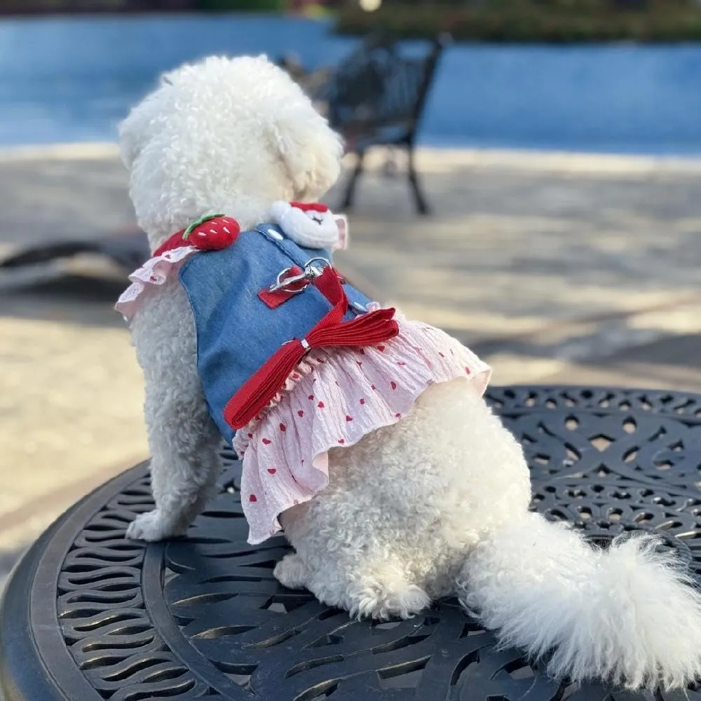 Step in Dog Harness for Large Dogs, no Pull Adjustable xs Dog Harness with Leash Set, Also fits Small Dogs and Cats
