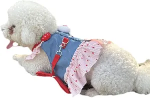 Step in Dog Harness for Large Dogs, no Pull Adjustable xs Dog Harness with Leash Set, Also fits Small Dogs and Cats