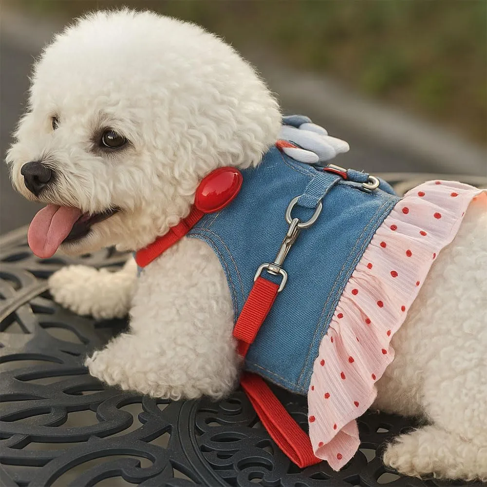 Step in Dog Harness for Large Dogs, no Pull Adjustable xs Dog Harness with Leash Set, Also fits Small Dogs and Cats