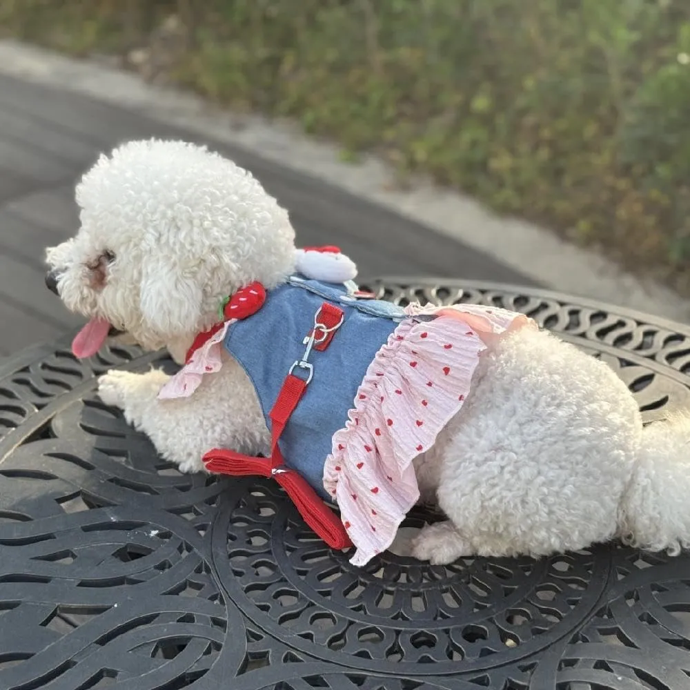 Step in Dog Harness for Large Dogs, no Pull Adjustable xs Dog Harness with Leash Set, Also fits Small Dogs and Cats