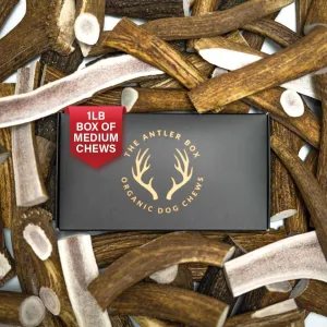 The Antler Box Premium Elk Antler Dog Chews (1 Pound Box) (Medium (4 Pieces) Whole Only)