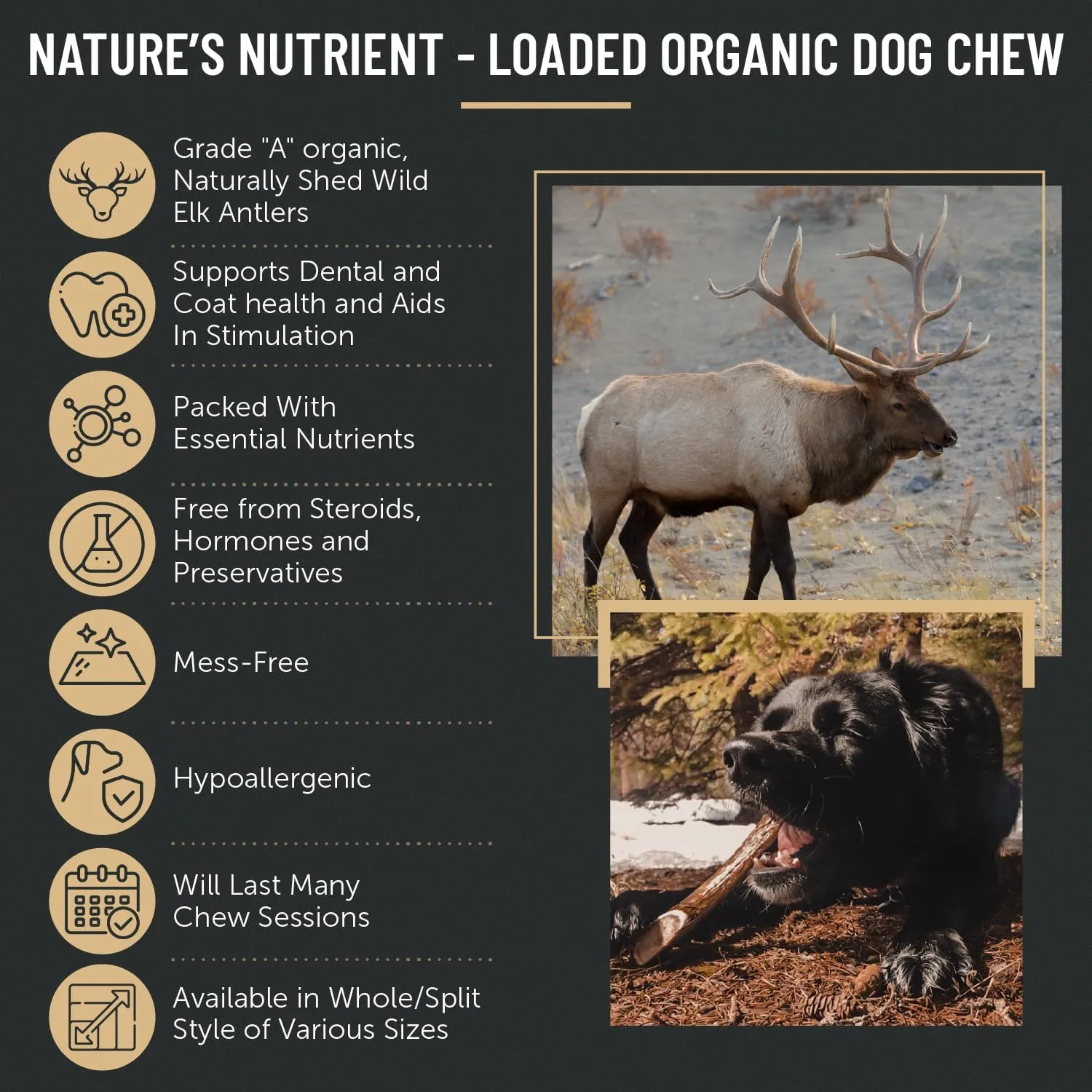 The Antler Box Premium Elk Antler Dog Chews (1 Pound Box) (Medium (4 Pieces) Whole Only)