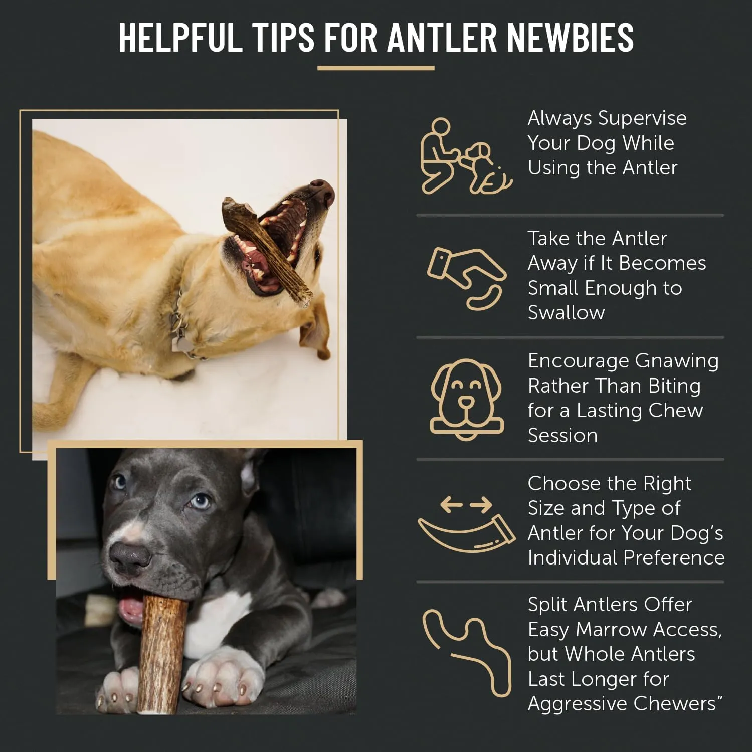 The Antler Box Premium Elk Antler Dog Chews (1 Pound Box) (Medium (4 Pieces) Whole Only)