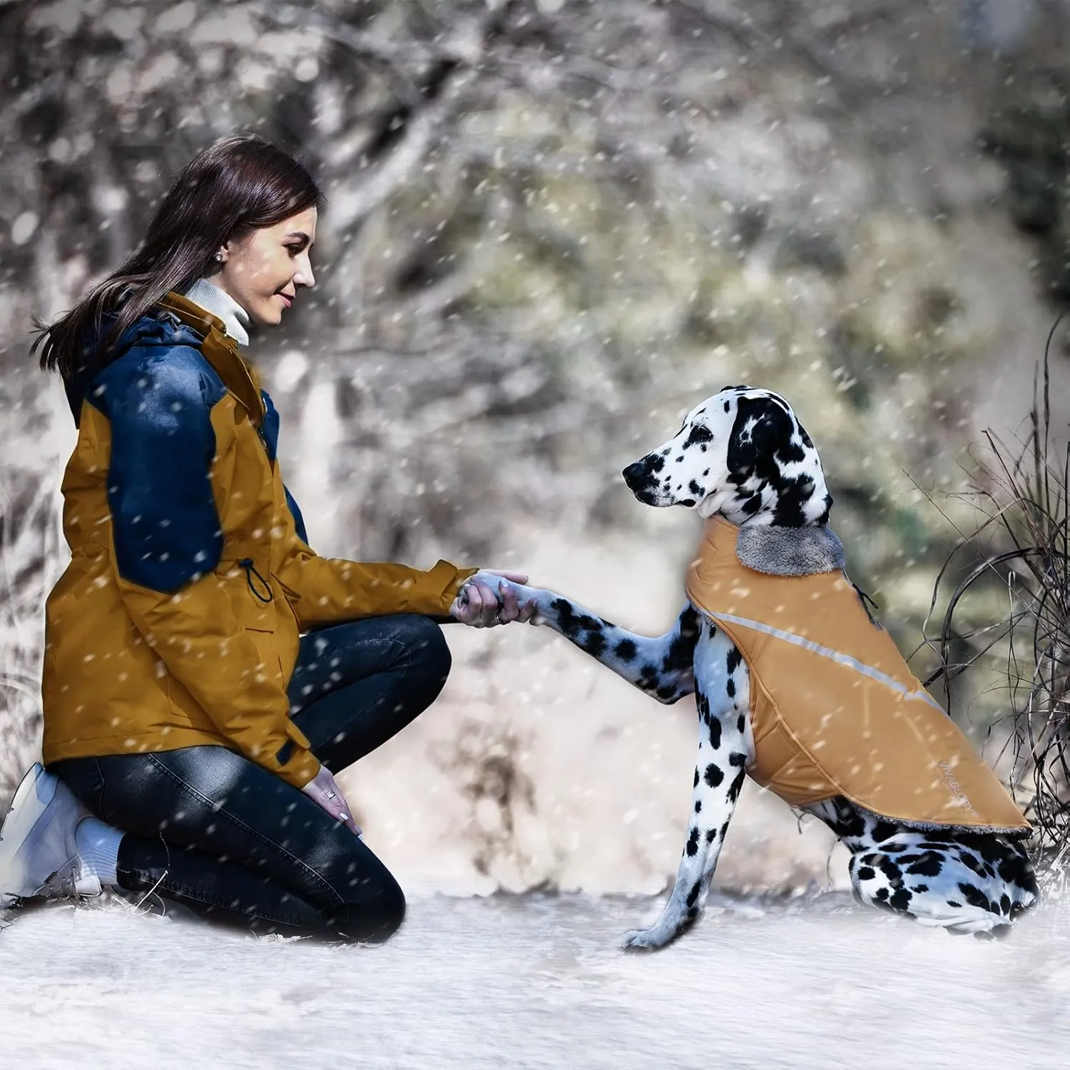 VIVAGLORY Warm Dog Fleece Vest Jacket with Two-Way Zipper Opening, Pet Jacket with Fleece Lining for Small Pets, Khaki XXS